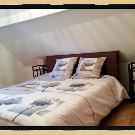 Des Lentilles Appartement Schiltigheim