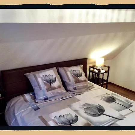 Des Lentilles Appartement Schiltigheim