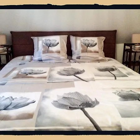 Des Lentilles Appartement *