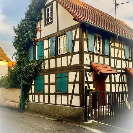 Des Lentilles Appartement Schiltigheim